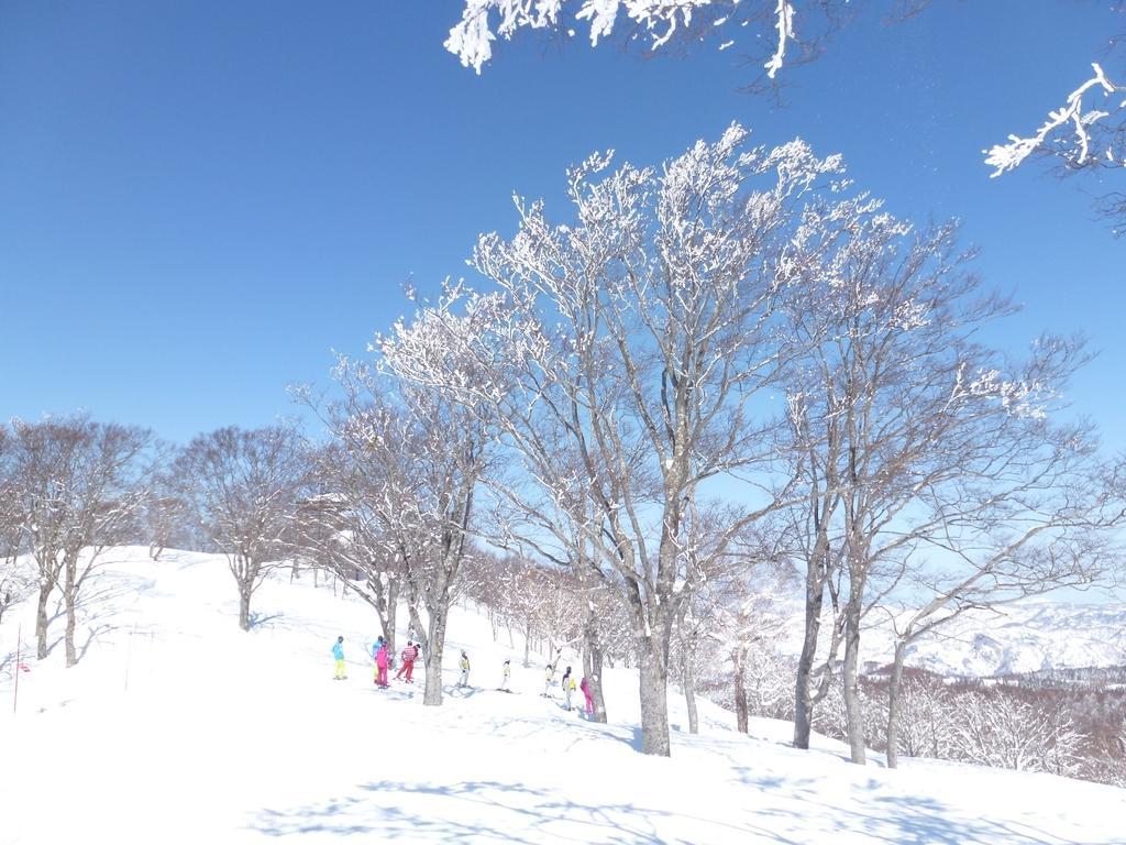 Tobei Hotel Nozawaonsen Buitenkant foto