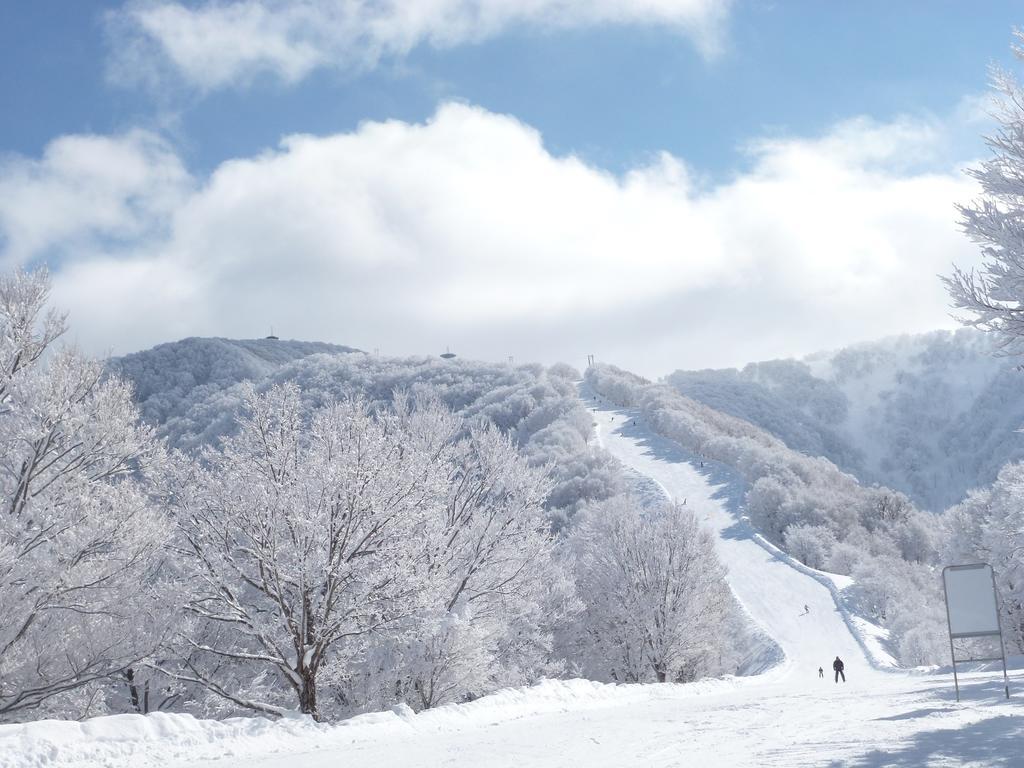 Tobei Hotel Nozawaonsen Buitenkant foto